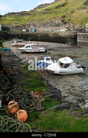 Vue de Boscastle Harbour à marée basse. Banque D'Images