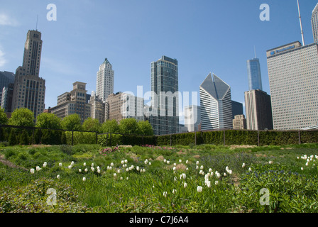 Gratte-ciel sur East Randolph Street de la Lurie Garden de Millennium Park, Chicago, Illinois, États-Unis Banque D'Images