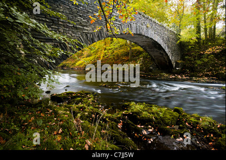 Passerelle au-dessus de la pierre d'une petite rivière en automne, Lake District, England, UK Banque D'Images