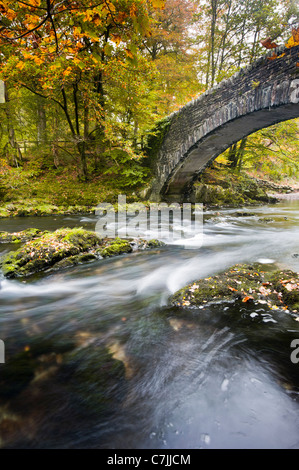 Passerelle au-dessus de la pierre d'une petite rivière en automne, Lake District, England, UK Banque D'Images