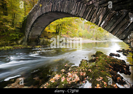 Passerelle au-dessus de la pierre d'une petite rivière en automne, Lake District, England, UK Banque D'Images