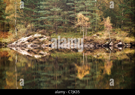 Réflexions sur l'arbre Tarn Hows, Lake District, England, UK Banque D'Images