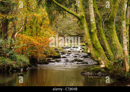 Scène de rivière d'automne, Lake District, England, UK Banque D'Images