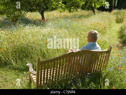 Homme plus âgé assis sur banc de parc Banque D'Images