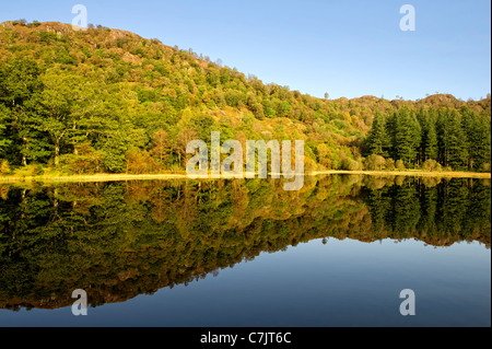 Une réflexion parfaite à Coniston Water dans le Lake District, Cumbria, Angleterre Banque D'Images