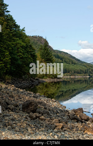 La ligne d'arbres du bord de Thirlmere dans le Lake District, Cumbria, Angleterre Banque D'Images