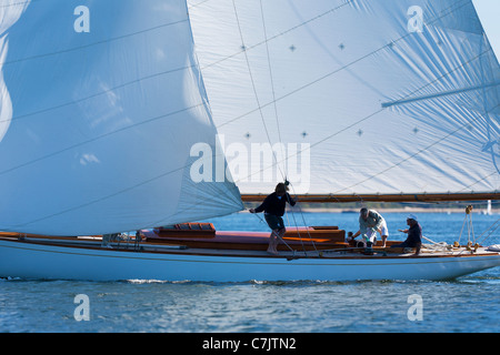 Un équipage tire la génois dans après avoir terminé un bord à bord de l'yacht conçu William Fife Clio Banque D'Images