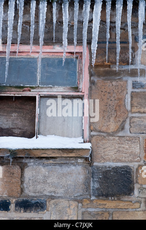 Gros plan hivernal du bâtiment agricole en pierre délabré (glaces pointues accrochées au-dessus de la fenêtre à bord, peinture écaillée, cadre) - Yorkshire England UK Banque D'Images