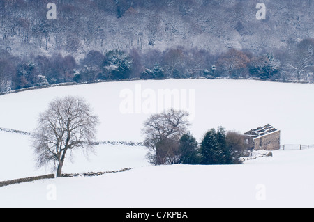 Vue panoramique sur la vallée rurale enneigée lors d'une journée hivernale enneigée froide (grange en pierre débridée, forêt, pentes de colline) - Yorkshire, Angleterre, Royaume-Uni Banque D'Images