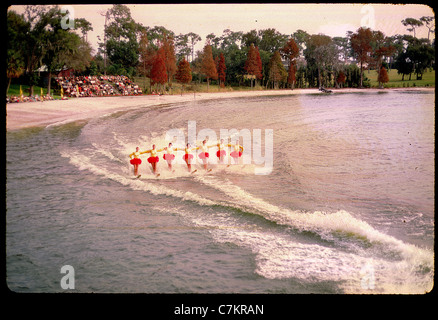 Les skieurs acrobatiques floride 1950 Lac de l'eau femmes diapositives couleur Banque D'Images