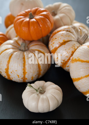 Citrouilles assortis assis sur une planche en bois noir Banque D'Images