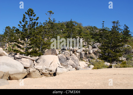 Les roches de granit, hoop pins et plage de sable fin, Arthur bay, Magnetic island, Townsville, Queensland, Australie Banque D'Images