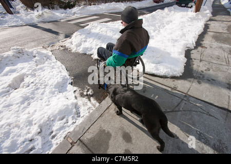 Femme avec la sclérose en plaques dans un fauteuil roulant avec un chien Banque D'Images