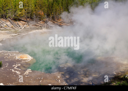 La vapeur s'élève de printemps Emeraude à Norris Geyser Basin, Parc National de Yellowstone, Wyoming. Banque D'Images