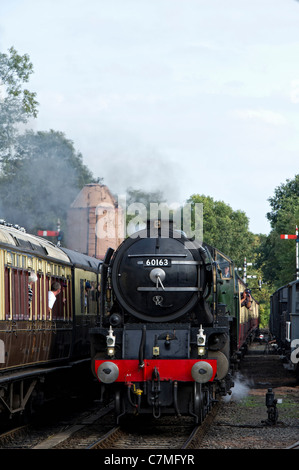 Un poivre1 pacific aucune locomotive à vapeur tornado 60163 station bp 18 approches, worcestershire sur la Severn Valley Railway Banque D'Images