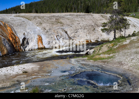 Chinois à côté de la rivière Firehole Printemps, Upper Geyser Basin, Parc National de Yellowstone, Wyoming. Banque D'Images