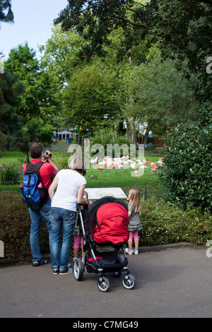 Des flamants roses (Phoenicopterus ruber) ; la pièce et pièce jointe à voir en famille. Le Zoo de Cologne, Cologne, Allemagne. Banque D'Images