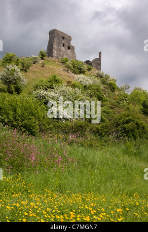 Château , Dryslwyn Carmarthenshire, Pays de Galles du Sud Banque D'Images