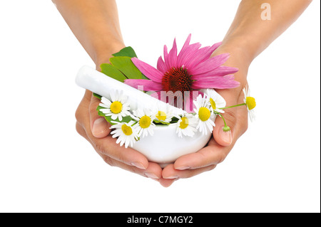 Jeune femme tenant le mortier avec des herbes - l'échinacée, le ginkgo, camomille - isolé Banque D'Images