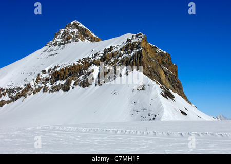 Sur le glacier de Tsanfleuron au pied de Mt. Oldenhorn, Les Diablerets, Suisse Banque D'Images