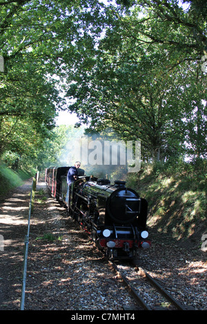 Bure Valley Railway 21e anniversaire Gala vapeur septembre 2011, Samson de Romney Hythe et Dymchurch Railway Banque D'Images