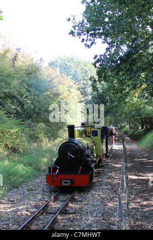 Bure Valley Railway 21e anniversaire Septembre 2011 Gala À VAPEUR Northern Rock Banque D'Images