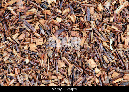 Macro image de rooibos thé rouge feuilles et l'écorce Banque D'Images