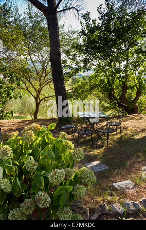 Salon de jardin en fer forgé ombragé jardin italien avec rhododendron premier plan. Banque D'Images