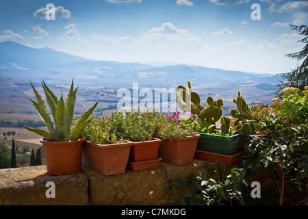 Une collection de pots remplis de plantes au-dessus d'un mur en pierre donnant sur la Val d'Orchia avec le Mont Amiata dans l'arrière-plan. Banque D'Images