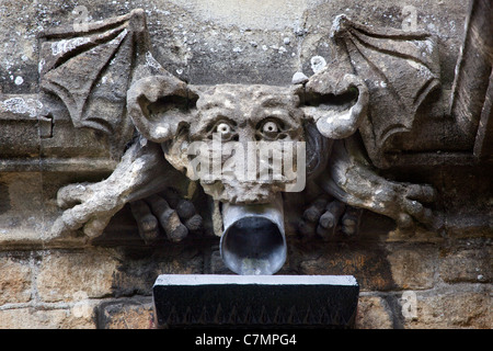 Gargouille sur le toit de l'église St Andrews Castle Combe Banque D'Images
