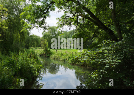 Stream dans le village de Castle Combe, Wiltshire, England, UK Banque D'Images