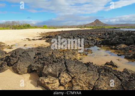 Vue d'une côte rocheuse, des crabes rouges, et Dragon Hill dans l'arrière-plan de l'île de Santa Cruz, Parc National des Galapagos, Equateur Banque D'Images