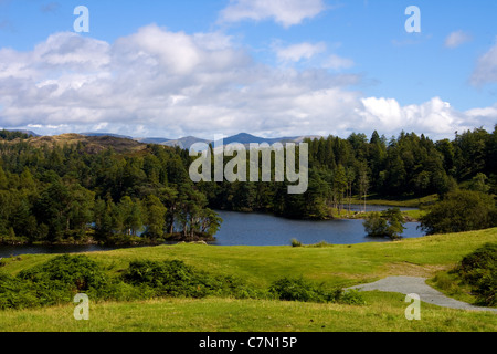 Photo de paysage du Tarn Howes Lake, près de Keswick dans le Lake District Banque D'Images