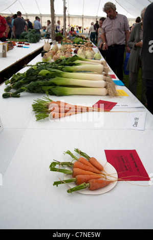 Carottes et poireaux - produire sur l'affichage à une foire agricole à Gransden Cambridgeshire England UK Banque D'Images