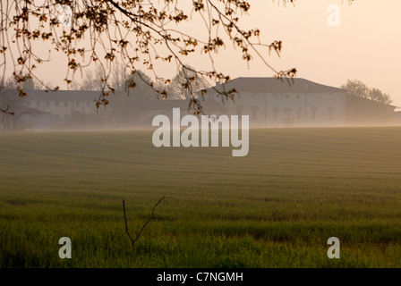 Ferme, champs, campagne italienne et du paysage naturel près de Curtatone Montanara, Mantoue, Mantoue, Lombardie, Italie Banque D'Images