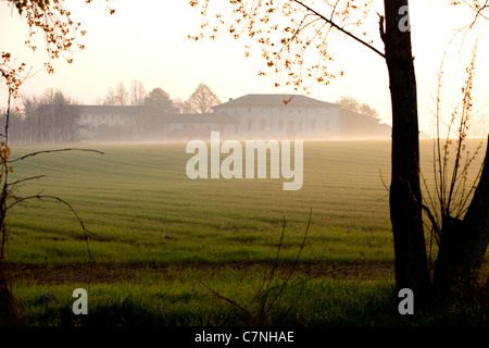 Ferme, champs, campagne italienne et du paysage naturel près de Curtatone Montanara, Mantoue, Mantoue, Lombardie, Italie Banque D'Images