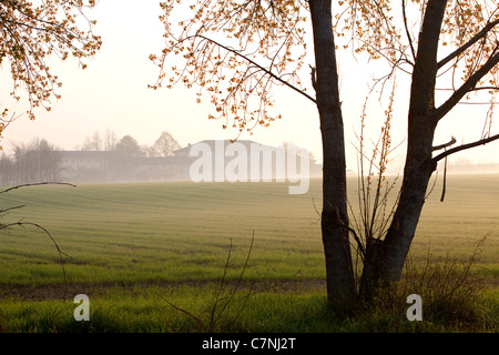 Ferme, champs, campagne italienne et du paysage naturel près de Curtatone Montanara, Mantoue, Mantoue, Lombardie, Italie Banque D'Images