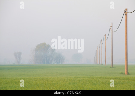 Ligne d'alimentation de l'électricité en campagne italienne et du paysage naturel près de Curtatone Montanara, Mantoue, Mantoue, Lombardie, Italie Banque D'Images