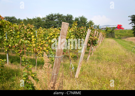 Paysage italien, de l'agriculture et de vignobles avec les camions sur l'autoroute : Franciacorta région près de Rovato, Brescia, Lombardie, Italie Banque D'Images