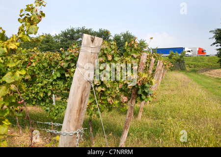 Paysage italien, de l'agriculture et de vignobles avec les camions sur l'autoroute : Franciacorta région près de Rovato, Brescia, Lombardie, Italie Banque D'Images