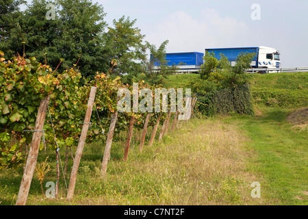 Paysage italien, de l'agriculture et de vignobles avec les camions sur l'autoroute : Franciacorta région près de Rovato, Brescia, Lombardie, Italie Banque D'Images