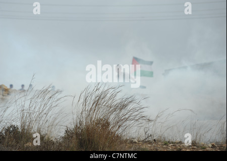 Le village de Nabi Saleh, 23 septembre 2011, jour de la demande à l'ONU pour la reconnaissance de l'État palestinien., Le Banque D'Images