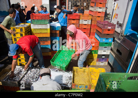 Caisses en plastique d'empilage de poissons sur le quai à Essaouira, Maroc Banque D'Images