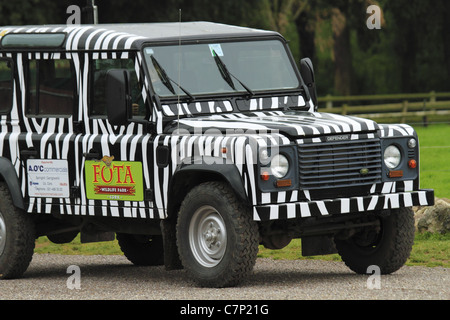 Un safari en véhicule Land Rover de zèbre repères du Fota Wildlife Park, Co Cork, Rep de l'Irlande. Banque D'Images