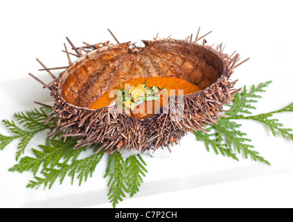 Coquille d'oursin de mer cuits au four Banque D'Images