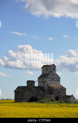 Ancien de l'élévateur à grain abandonnées dans les Prairies canadiennes. La Saskatchewan, Canada. Banque D'Images