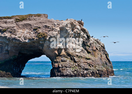 Natural Bridges State Beach à Santa Cruz, en Californie. Banque D'Images