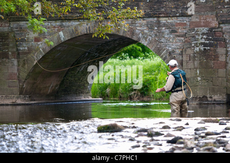 Fly fisherman casting une ligne dans la rivière Banque D'Images