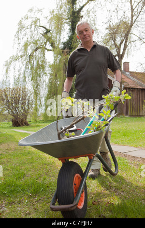 Man pushing wheelbarrow in backyard Banque D'Images