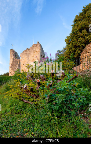 Ruines du château normand dans Knaresborough, Yorkshire du Nord. Banque D'Images